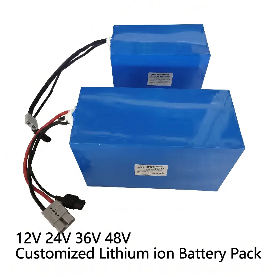 Pack batterie lithium rechargeable 48V personnalisé pour robots intelligents avec protection BMS