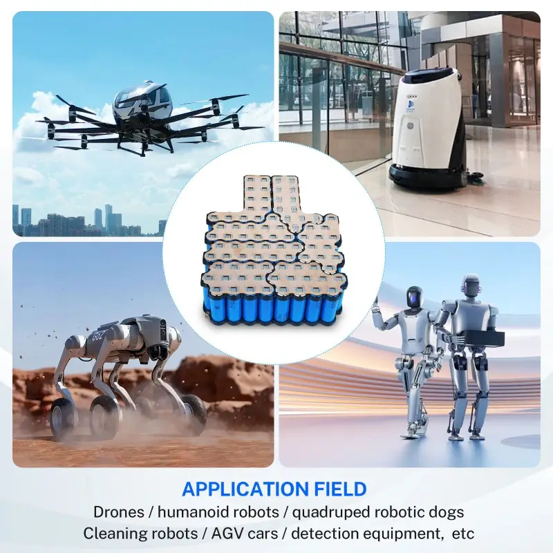 Module d’alimentation fiable de 30Ah pour les applications industrielles des robots humanoïdes