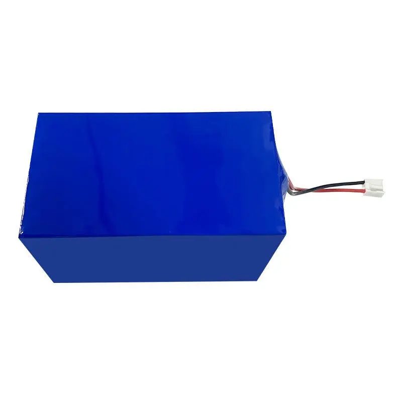 Pack batterie lithium-ion 24V personnalisé pour outils de jardin électriques